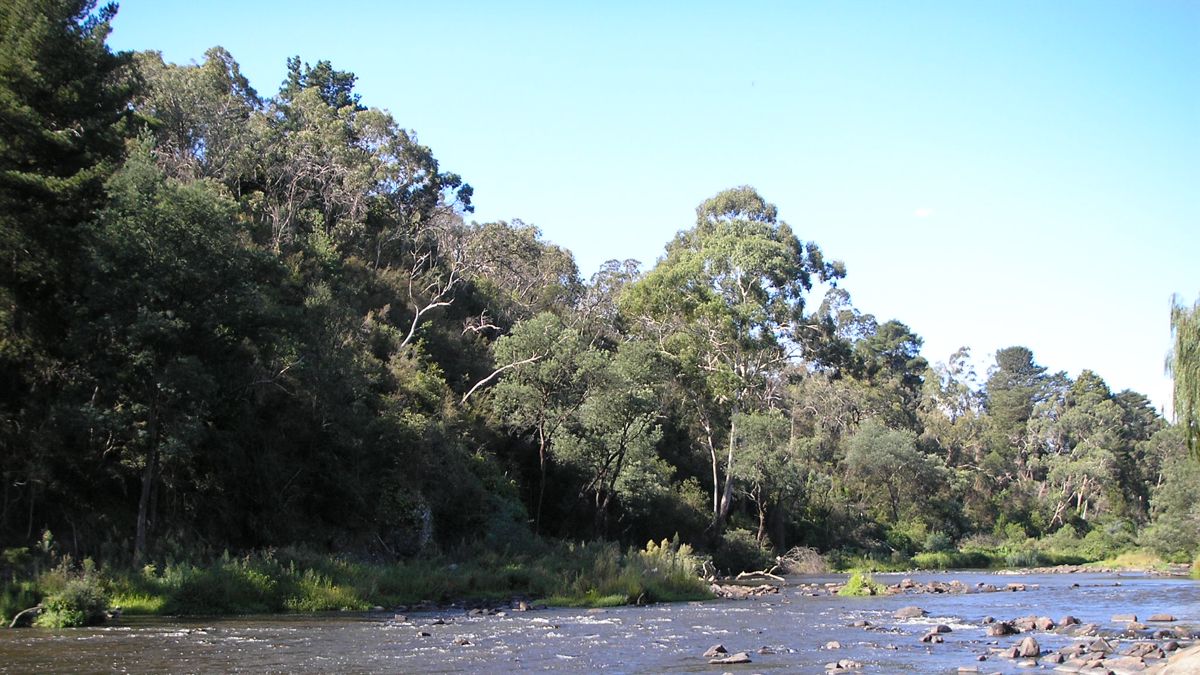 Warrandyte, Victoria — in the service area for at-home computer help