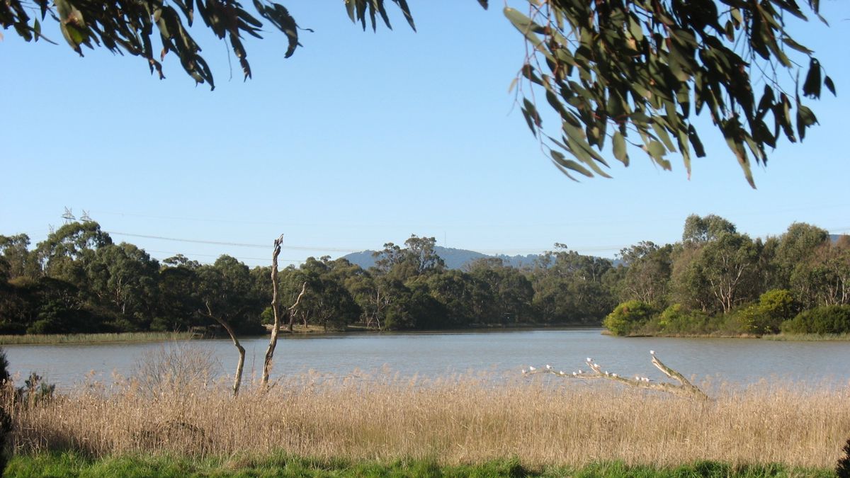 Wheelers Hill, Victoria — in the service area for at-home computer help